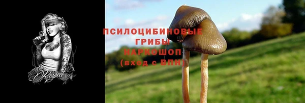 прущая мука Надым