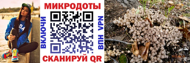 Псилоцибиновые грибы Psilocybe  хочу наркоту  Тверь 