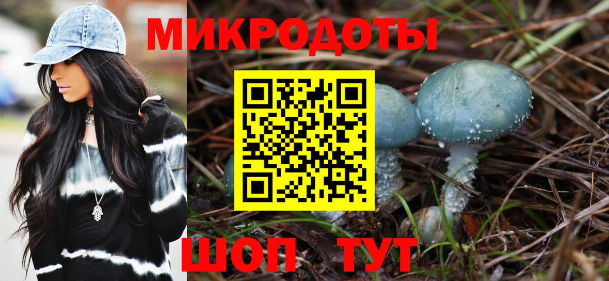 Псилоцибиновые грибы мухоморы Тверь