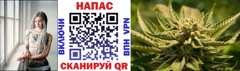 Каннабис MAZAR сайты даркнета Telegram Тверь